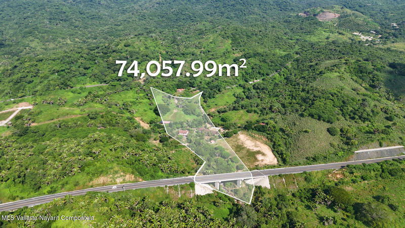 20260116234950268593000000 o