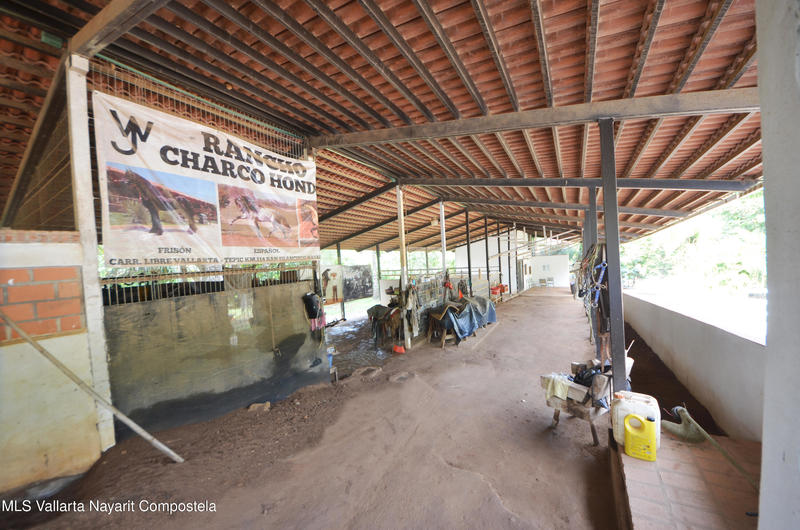 20260116235624012121000000 o