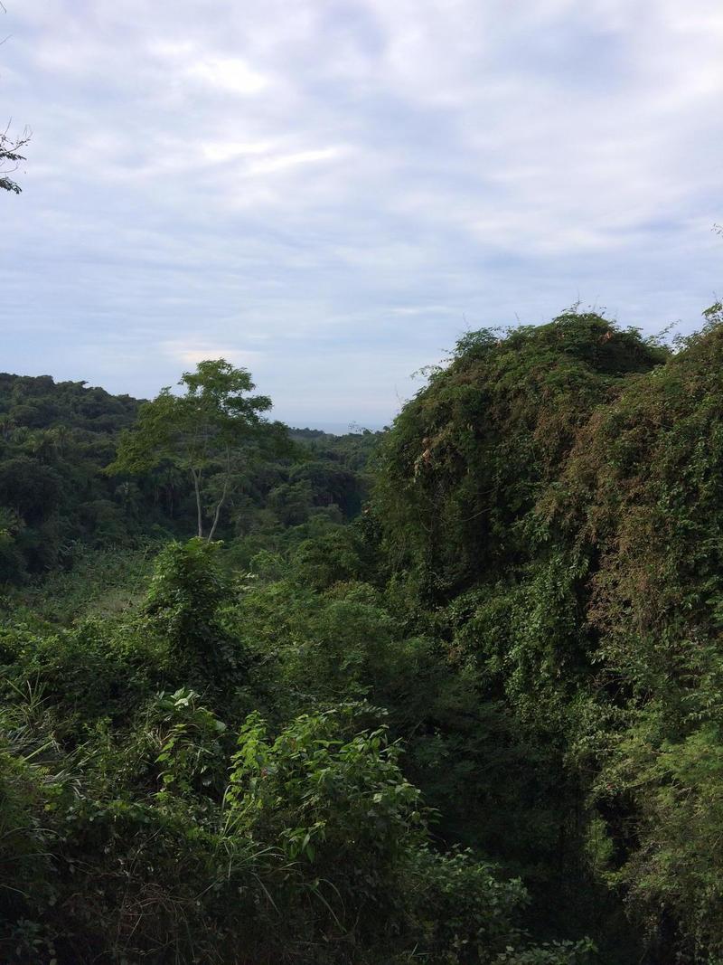0 18 Hectares, Cristina Zavala, Riviera Nayarit, Na