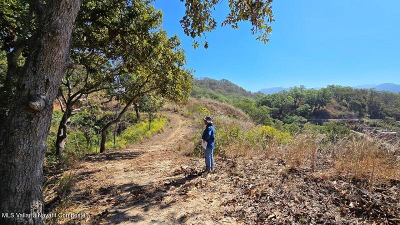 20250731211542971220000000 o