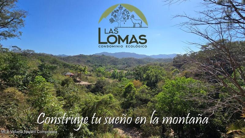 20250804195802048215000000 o