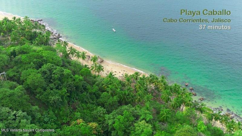 20250804195809843716000000 o