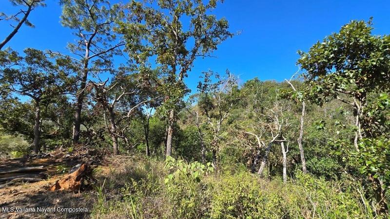 20250804202427444704000000 o