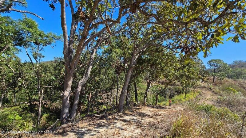 20250804200353149810000000 o