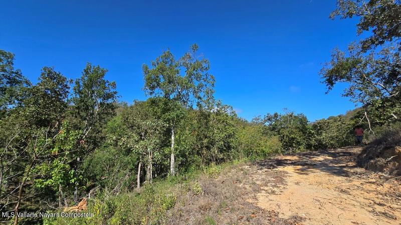 01 Carretera Tuito   Vallarta, Lote 10, Sierra Madre Jalisco, Ja