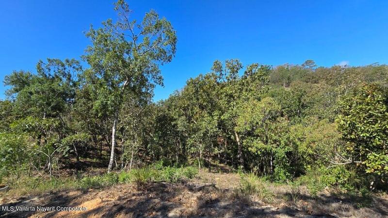 20250801184537716306000000 o