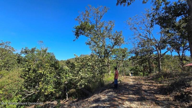 20250801190205932584000000 o