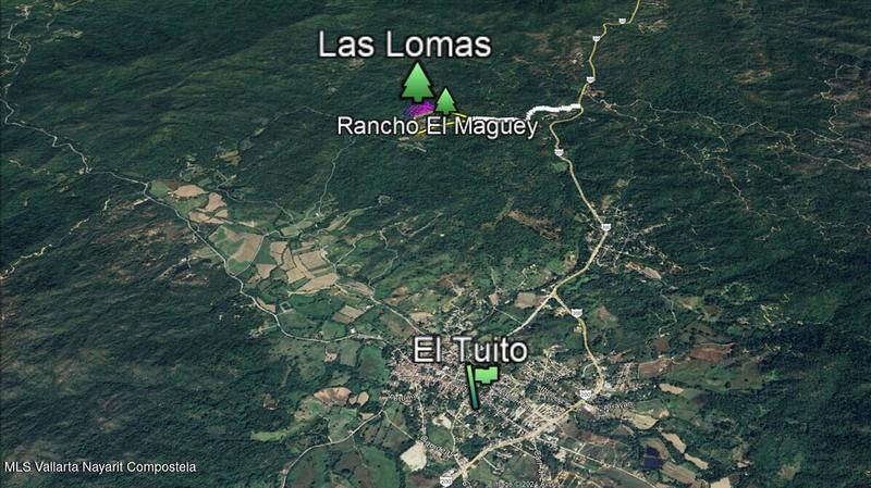 20250801190207530646000000 o