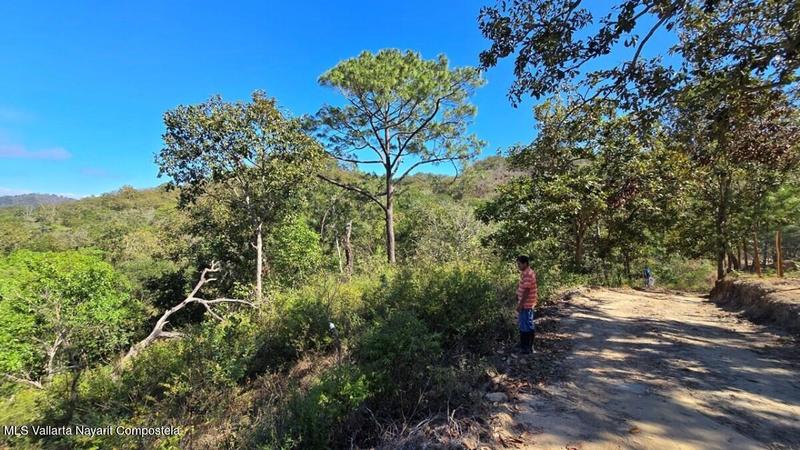 20250804201225882632000000 o