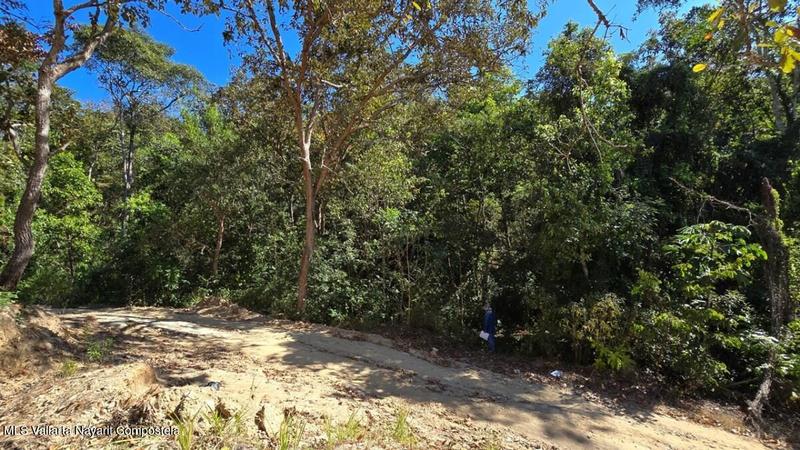 01 Carretera Tuito   Vallarta, Lote 13, Sierra Madre Jalisco, Ja