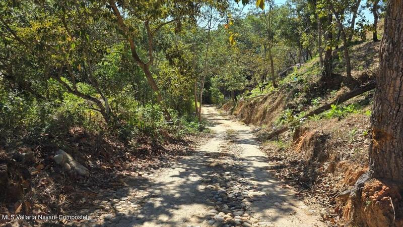 20250804205417332019000000 o