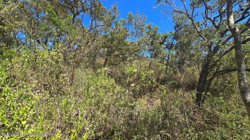 20250801193555832804000000 o