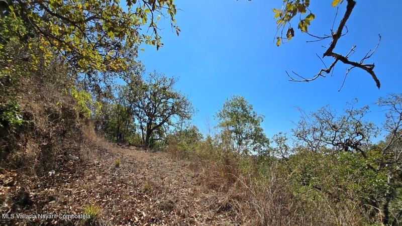 20250804201828260165000000 o