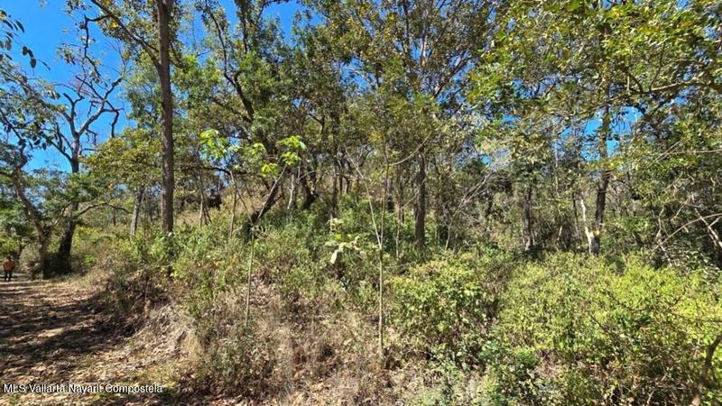 20250801194111768047000000 o