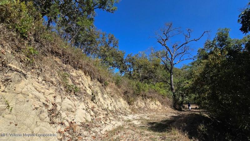 01 Carretera Tuito   Vallarta, Lote 20, Sierra Madre Jalisco, Ja