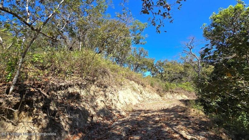 20250801194710876436000000 o