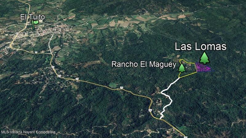 20250801194712559162000000 o