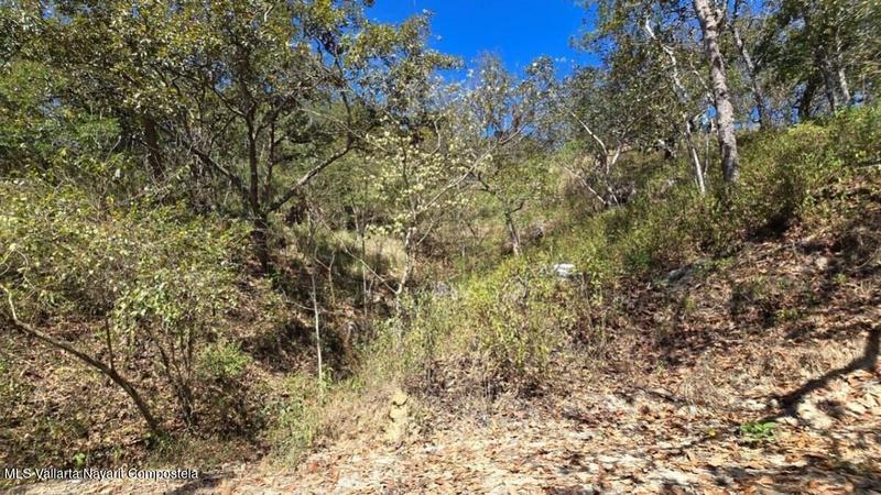 20250804211320256283000000 o