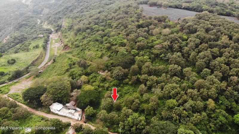 20251211055649293083000000 o