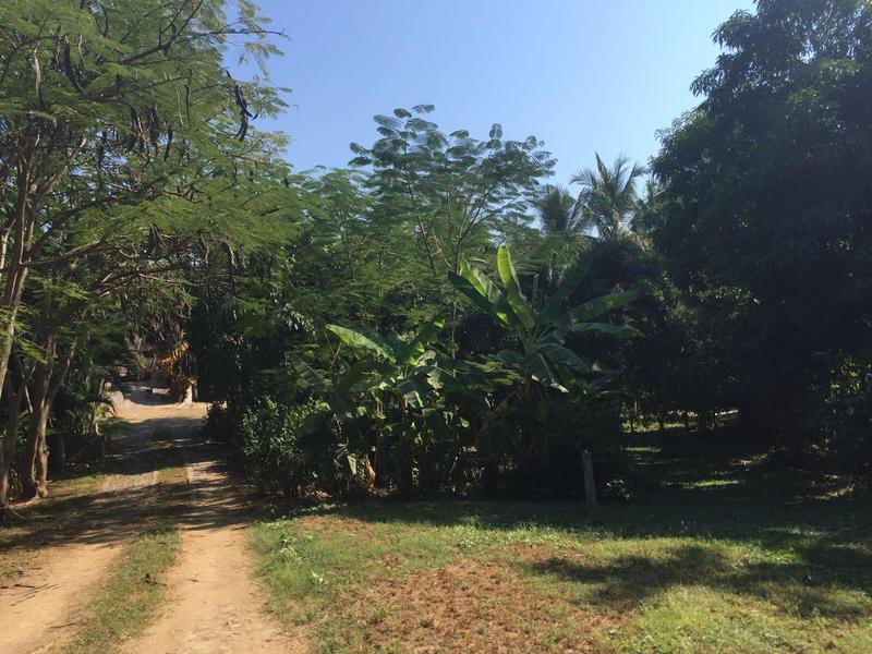 0 Colinas De San Miguel, Lote Colinas De San Miguel, Riviera Nayarit, Na
