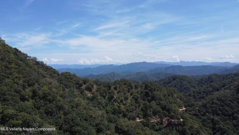 20251017152452815102000000 o