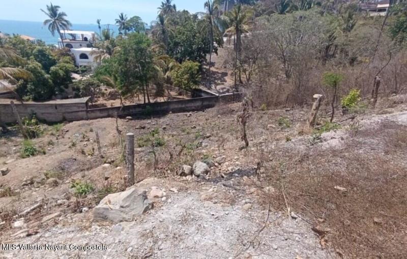 20260210212536178694000000 o