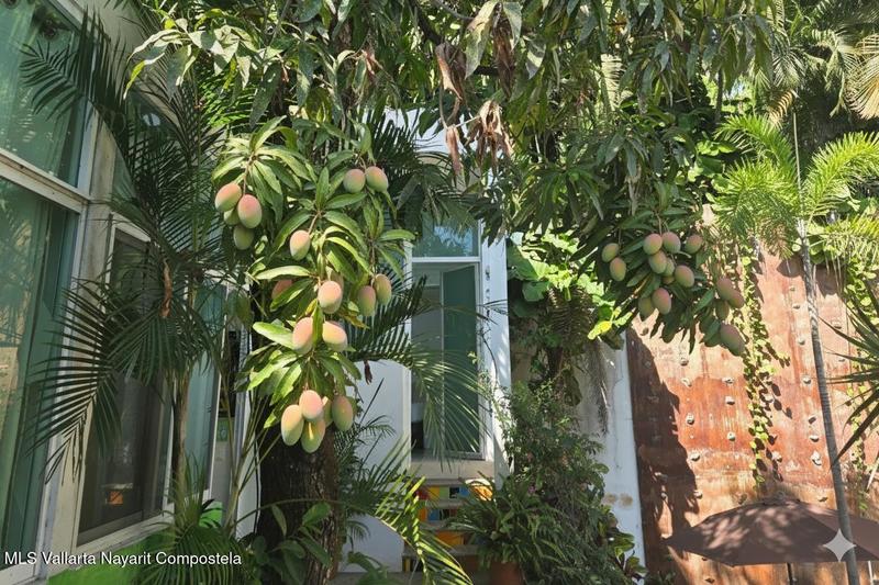 20250921174709160697000000 o