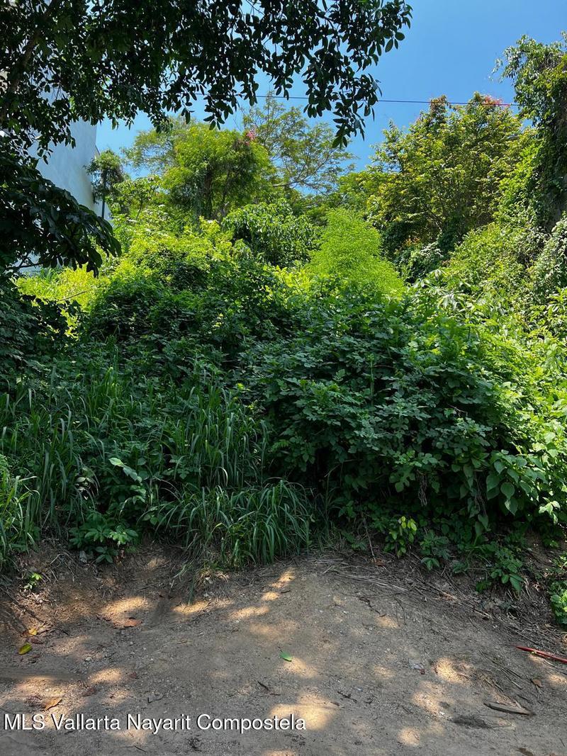 20250723192315246818000000 o