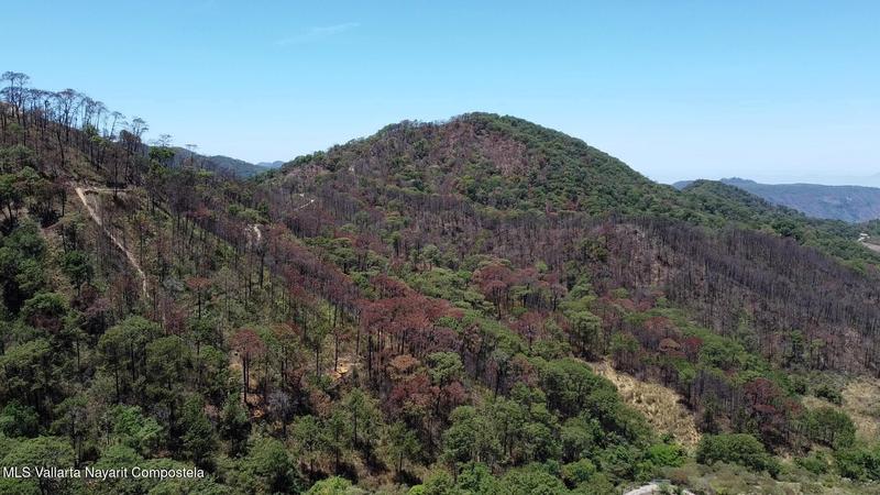 10 Sendero Nogalito, Lote Sendero Nogalito, Sierra Madre Jalisco, Ja