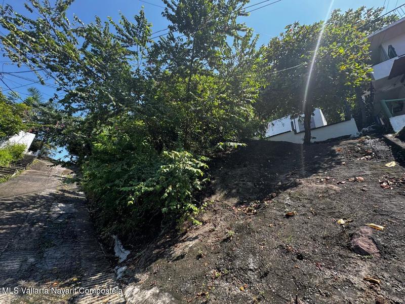 20251002222941654437000000 o