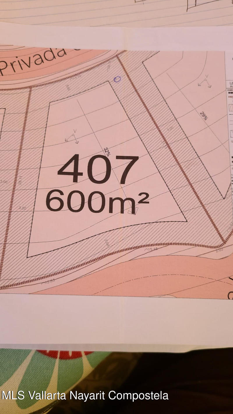 20260630233153906161000000 o