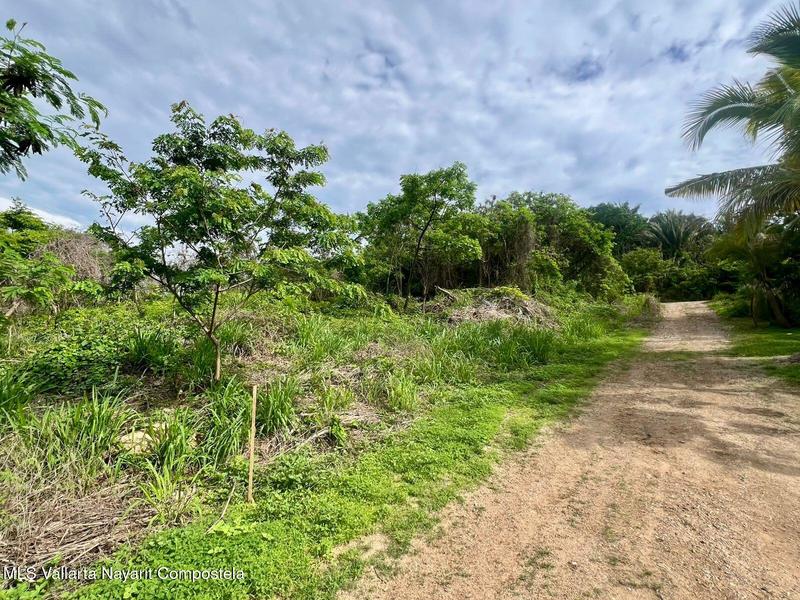 1376 Z 1376 Z 10 P/1 Ejido De Sayulita, Lote David, Riviera Nayarit, Na