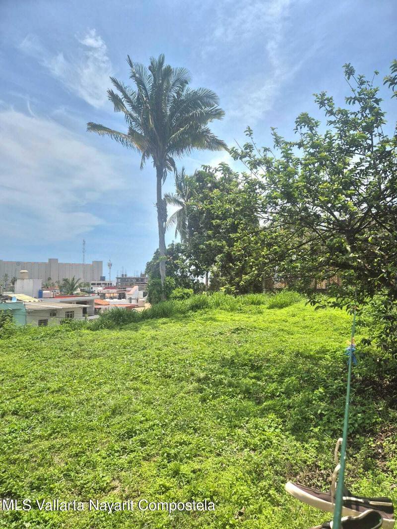 20250705212345522620000000 o