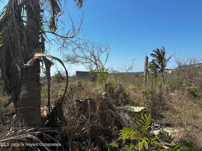 20250807142719418211000000 o