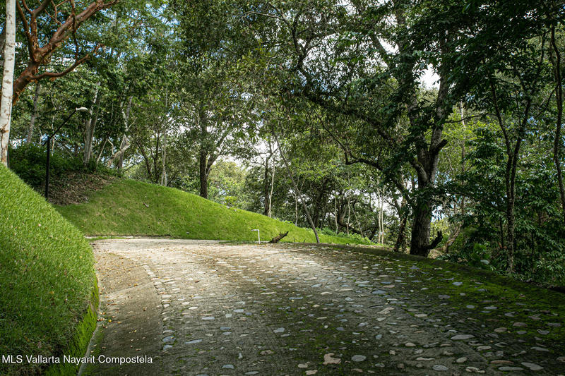 20260107161127823071000000 o