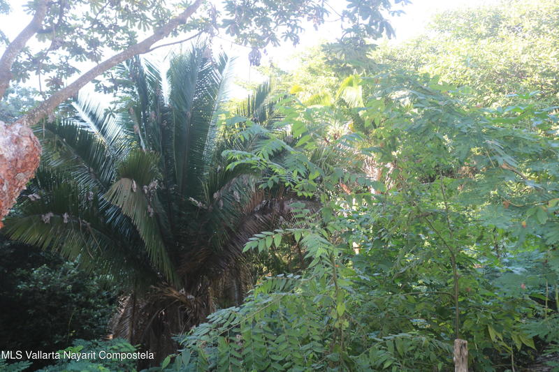 20251226185026163707000000 o