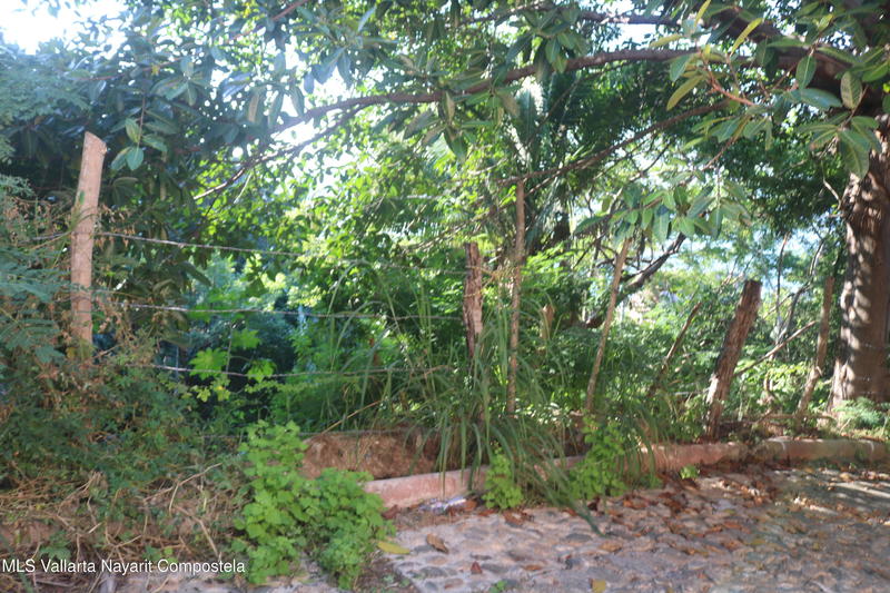 20251226185158963467000000 o