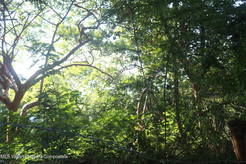 20260305220400134845000000 o