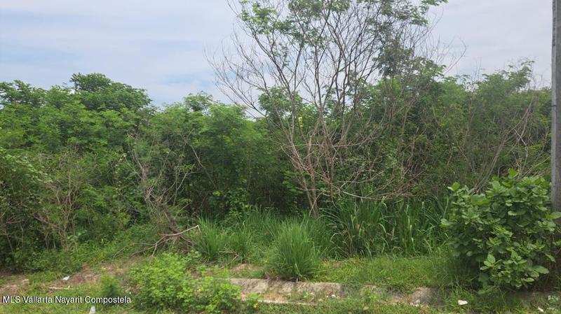 20250911222125644575000000 o