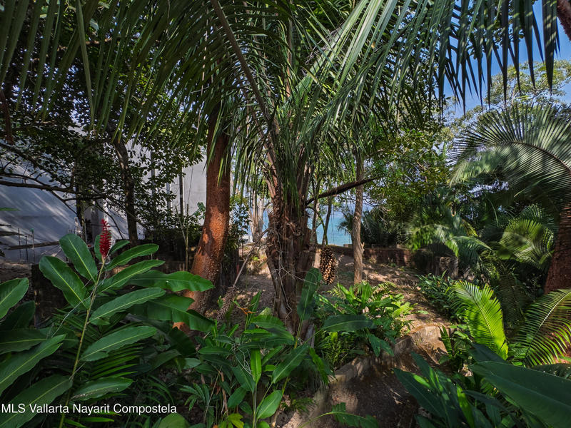 20251203231203044233000000 o