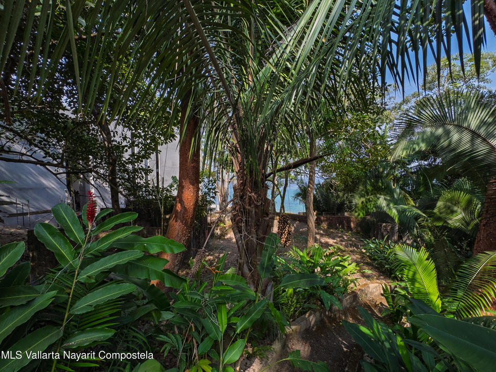 20251203231203044233000000 o