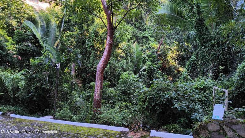 20260108205007976892000000 o