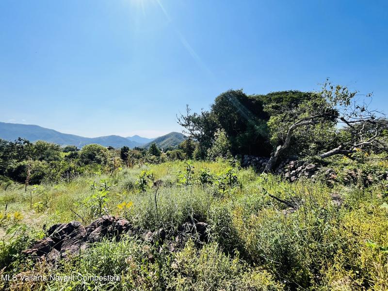 20260130012122545475000000 o