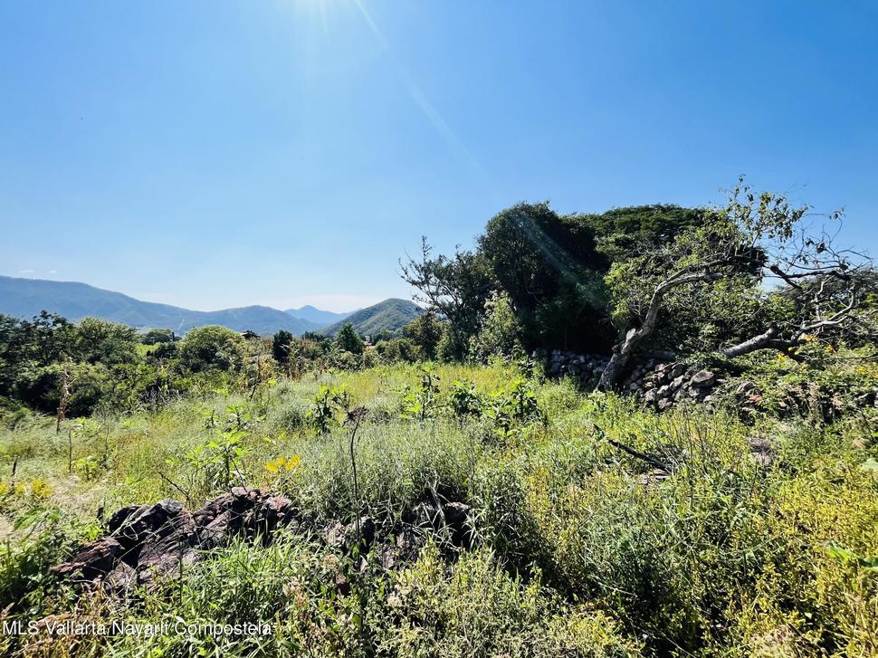 20260130012122545475000000 o