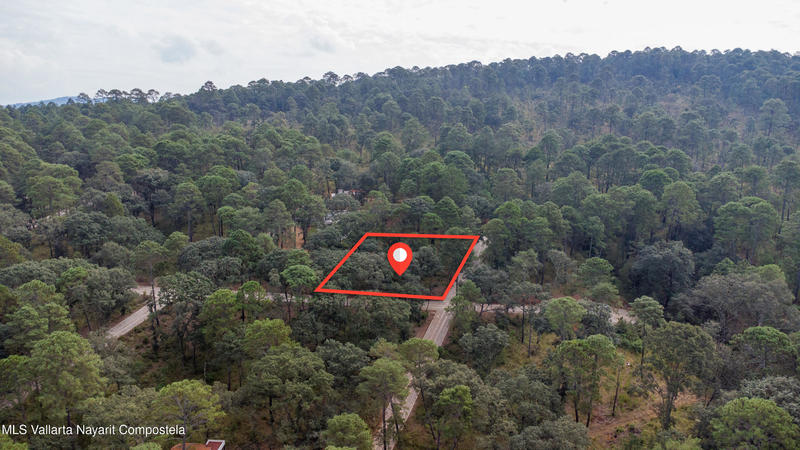 20251215230745326780000000 o