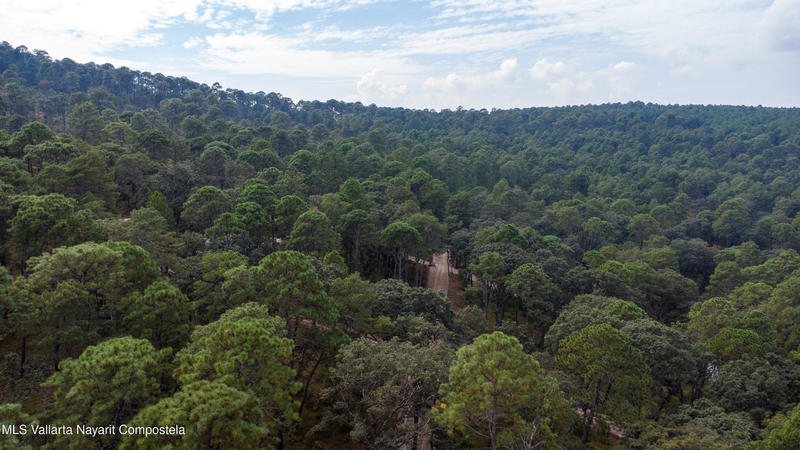 20251215230752733120000000 o