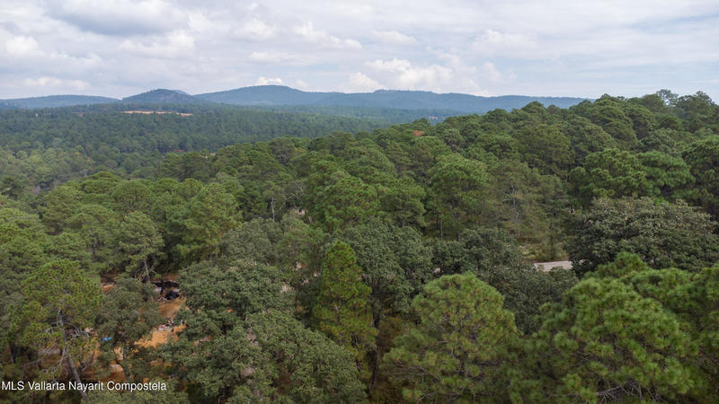 20251215230803900543000000 o