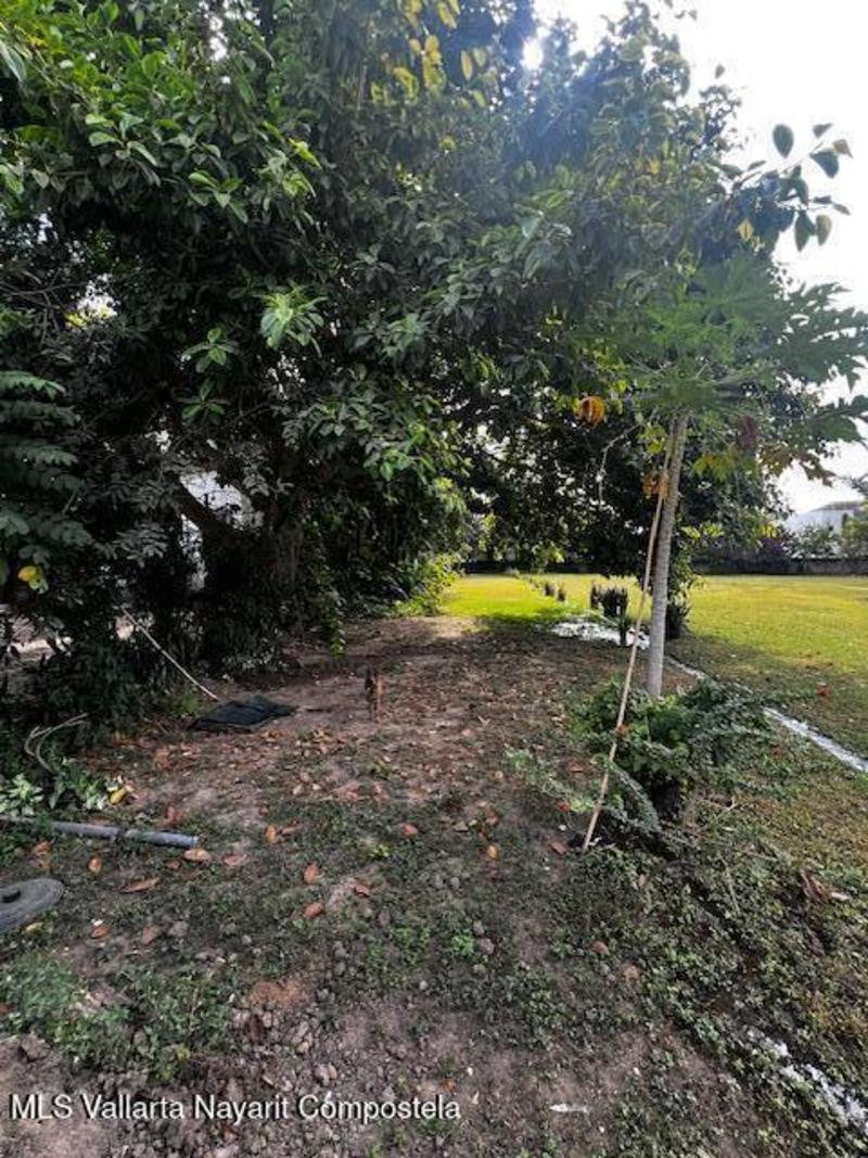 20260129221258600201000000 o