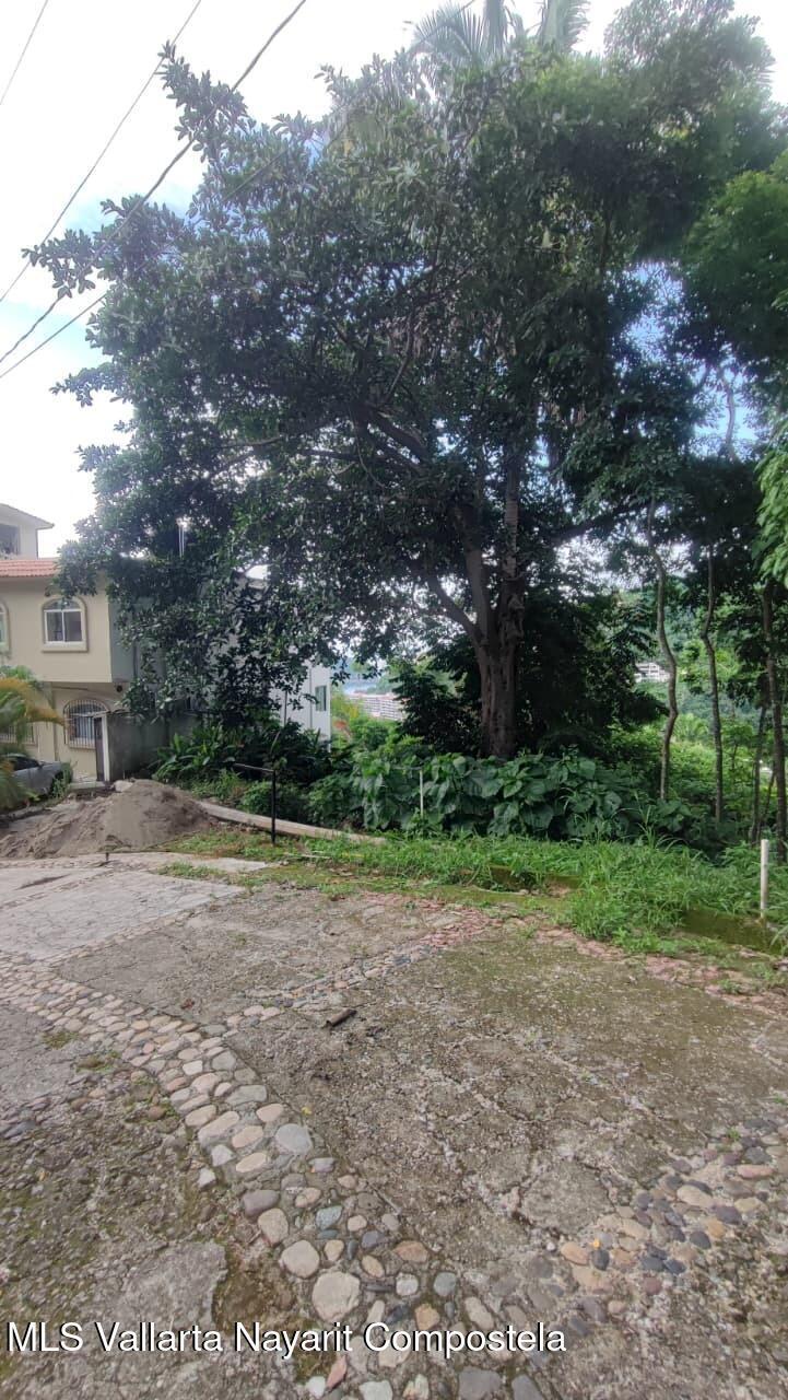 20250818051645071343000000 o