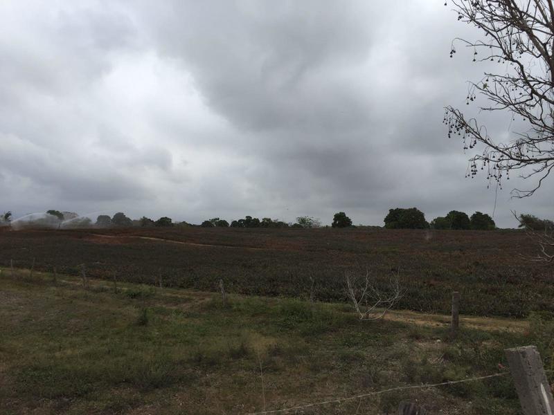 440 Z2 Estaciones, Lote Las Piñas, Riviera Nayarit, Na